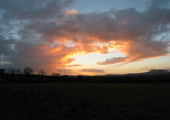 24253-24256 Sunset at Moneylands farm Arklow.jpg